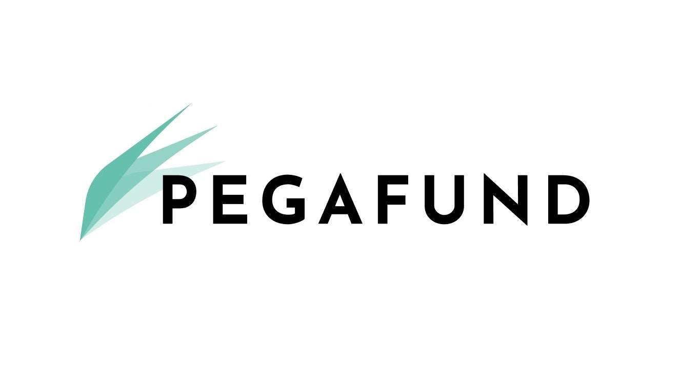 Pegafund: Financial Roadmap to Scale and Predictable Growth